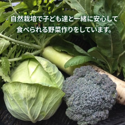 農業体験(1名) 栽培期間中農薬不使用 無化学肥料 無除草剤の畑で野菜のお世話体験[AAL001]
