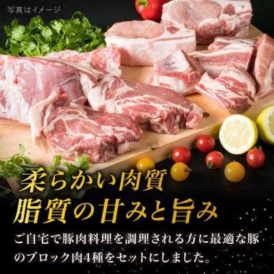 糸島華豚 ブロック肉 4品盛合せセット 約2.8kg  糸島ミートデリ工房 [ACA022] 