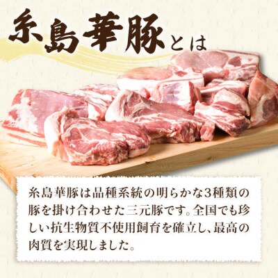糸島華豚 ブロック肉 4品盛合せセット 約2.8kg  糸島ミートデリ工房 [ACA022] 