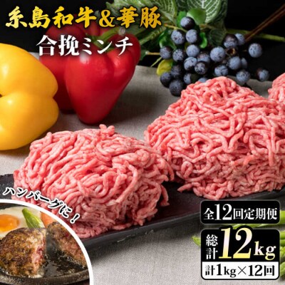 【全12回定期便】糸島和牛 糸島豚 合挽ミンチ 500g×2p×12回 計12kg [ACA259]