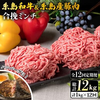 【全12回定期便】糸島和牛糸島産豚肉合挽ミンチ 500g×2p×12回 計12kg [ACA259]