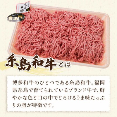 【全12回定期便】糸島和牛 糸島豚 合挽ミンチ 500g×2p×12回 計12kg [ACA259]