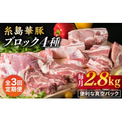 yS3ցzy荇킹z ؓ ubN4iZbg 2.8kg[ACA278]