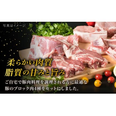【全3回定期便】【盛り合わせ】 糸島華豚 ブロック肉4品盛合せセット 約2.8kg[ACA278]