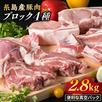 【全6回定期便】【盛り合わせ】 糸島産豚肉 ブロック肉4品盛合せセット 約2.8kg[ACA279]