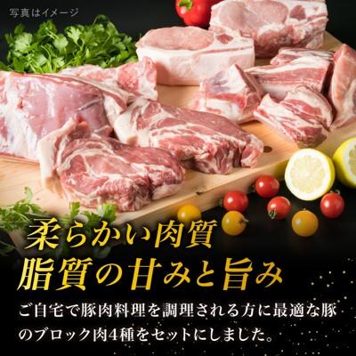 【全6回定期便】【盛り合わせ】 糸島産豚肉 ブロック肉4品盛合せセット 約2.8kg[ACA279]