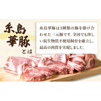 【全12回定期便】【盛り合わせ】 糸島華豚 ブロック肉4品盛合せセット 約2.8kg[ACA280]