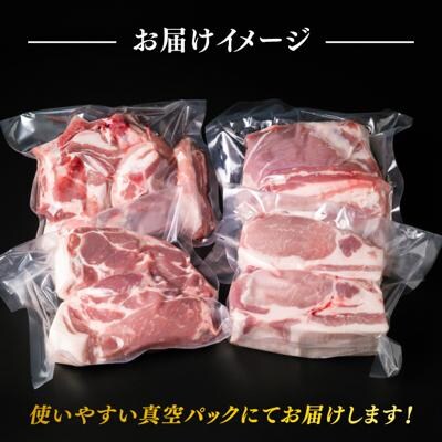 【全12回定期便】盛り合わせ 糸島産豚肉 ブロック肉4品盛合せセット 約2.8kg[ACA280]