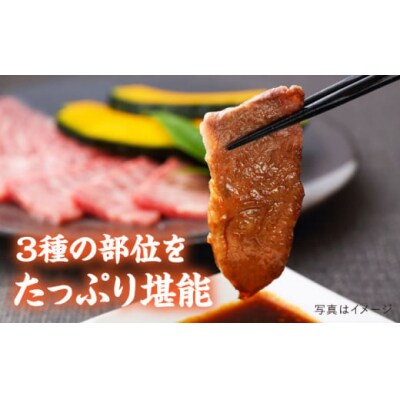 【全3回定期便】A4 糸島 黒毛和牛 焼肉バーベキュー セット3品盛り1500g入り[ACA284]