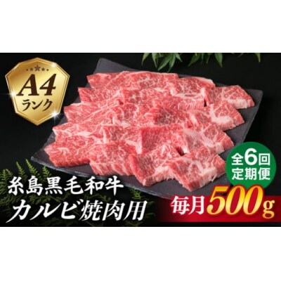【全6回定期便】【焼肉用】A4ランク 糸島 黒毛和牛 カルビ 500g 糸島市 [ACA294]