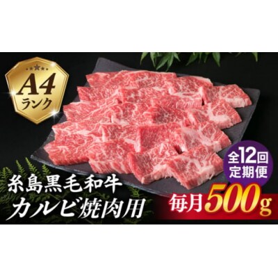 【全12回定期便】【焼肉用】A4ランク 糸島 黒毛和牛 カルビ 500g 糸島市 [ACA295]