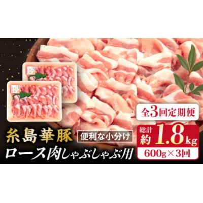 yS3ցz ؓ [X  XCX Ԃ p 600g [ACA326]