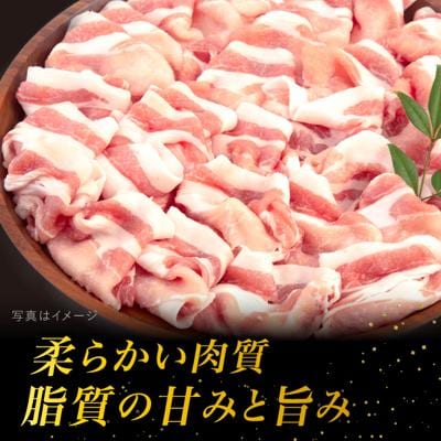 【全3回定期便】糸島産豚肉 ロース 肉 スライス しゃぶしゃぶ 用 600g [ACA326]