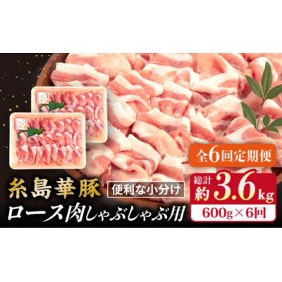 【全6回定期便】糸島 華豚 ロース 肉 スライス しゃぶしゃぶ 用 600g [ACA327]