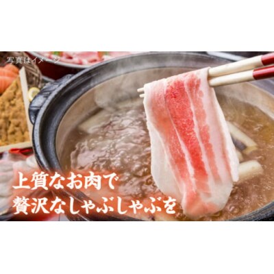 【全12回定期便】糸島 華豚 ロース 肉 スライス しゃぶしゃぶ 用 600g [ACA328]