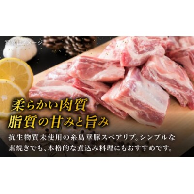 【全3回定期便】【 バーベキュー・煮込み用 】約2.4kg 糸島華豚 スペアリブ [ACA332]