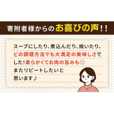 【全3回定期便】【 バーベキュー・煮込み用 】約2.4kg 糸島華豚 スペアリブ [ACA332]
