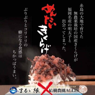 (掲載不可)結樹農園アグリス きくらげ満足セット ≪糸島市≫【結樹農園アグリス】