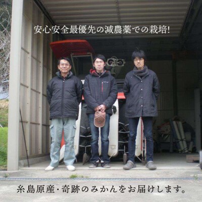 爽やかに甘い!糸島産「はるか」贈答用 約5kg[ABB001]