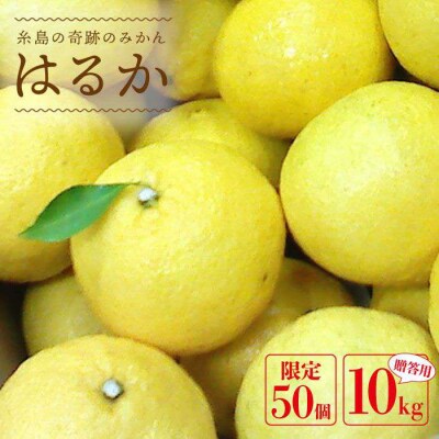 爽やかに甘い!糸島産「はるか」贈答用 約10kg[ABB002]