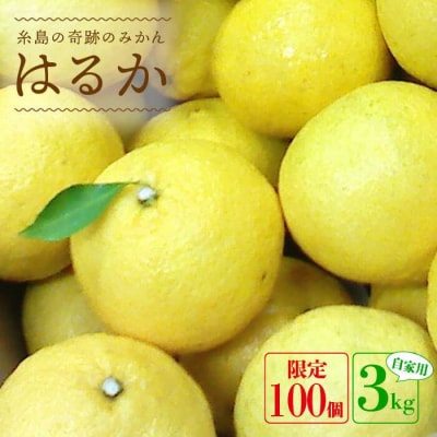 爽やかに甘い!糸島産「はるか」お試し用 約3kg[ABB003]