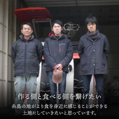 爽やかに甘い!糸島産「はるか」お試し用 約3kg[ABB003]