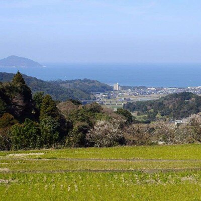【定期便】福吉産のお米 <6回コース> ヒノヒカリ 5kg 糸島市[ABB013]