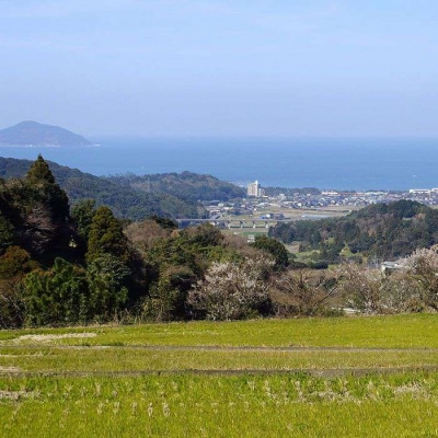 【定期便】福吉産のお米 ＜6回コース＞ ヒノヒカリ 5kg 糸島市[ABB013]