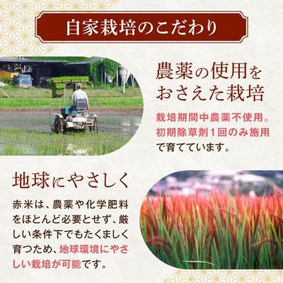 全5回定期便 (月1回) 赤米 ・ 黒米 ・ 雑穀米  健康 ごはんのお米セット[ABB018]