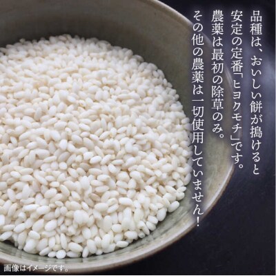福吉産・ 山つきのもち米 1kg  《糸島》【二丈赤米産直センター】 [ABB027]