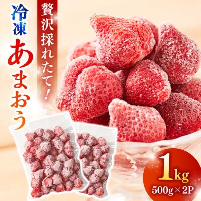 【農家直送!】 冷凍あまおう 1kg(500g×2パック)いちご 苺 糸島市[ABD006]