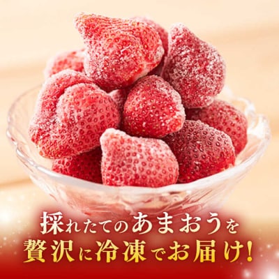 【農家直送!】 冷凍あまおう 1kg(500g×2パック)いちご 苺 糸島市[ABD006]