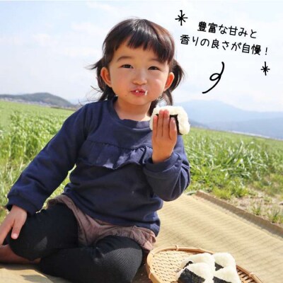 【 栽培期間中農薬不使用 】米旋風 ヒノヒカリ 5kg 《糸島》[ABF003]