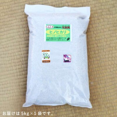 【 栽培期間中農薬不使用 】米旋風 ヒノヒカリ 玄米 5kg 糸島 [ABF007]
