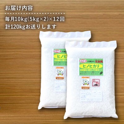 【全12回定期便】米旋風 ヒノヒカリ 10kg(5kg×2袋)【百笑屋】[ABF025] 