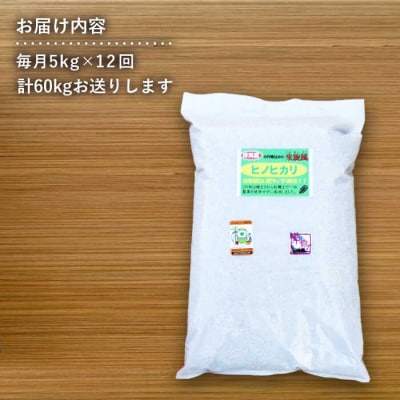 【全12回定期便】米旋風 ヒノヒカリ 玄米 5kg 《糸島》【百笑屋】 [ABF034]