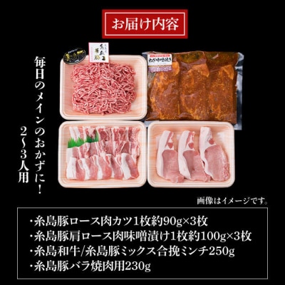【豚肉&牛肉セット】メインのおかずを彩る精肉セット4種( 約1kg ) 2、3人前 [ACA200]