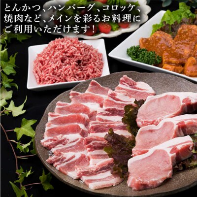 【豚肉&牛肉セット】メインのおかずを彩る精肉セット4種( 約1kg ) 2、3人前 [ACA200]