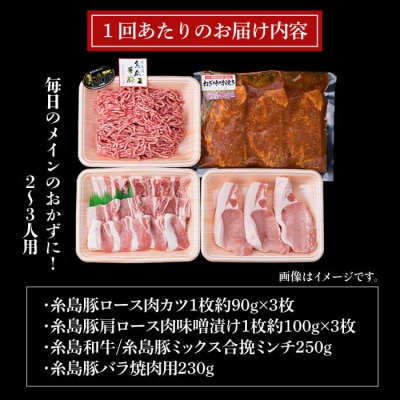 【全3回定期便】メインのおかずを彩る精肉セット4種(1,050g) 2、3人前 [ACA201]
