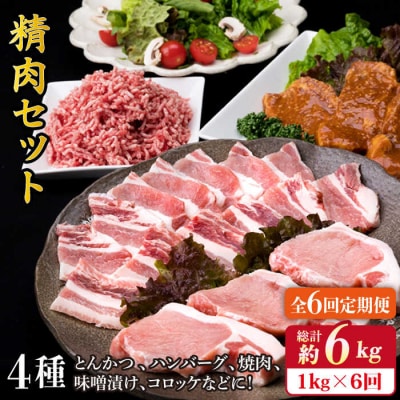 【全6回定期便】メインのおかずを彩る精肉セット4種(1,050g ) 2、3人前 [ACA202]
