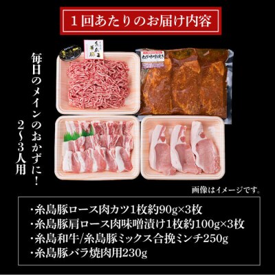 【全12回定期便】メインのおかずを彩る精肉セット4種(1,050g) 2、3人前 [ACA203]