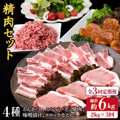 【全3回定期便】メインのおかずを彩る精肉セット4種(2,090g ) 5、6人前 [ACA205]
