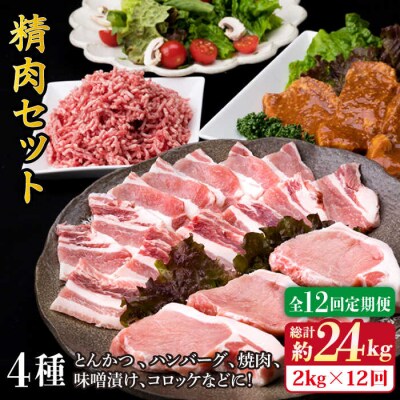 【全12回定期便】メインのおかずを彩る精肉セット4種(2,090g) 5、6人前 [ACA207]