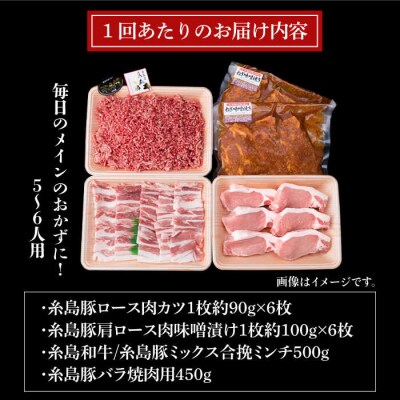 【全12回定期便】メインのおかずを彩る精肉セット4種(2,090g) 5、6人前 [ACA207]