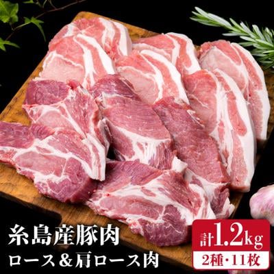 【合計11枚】とんかつ用糸島産豚肉ロース肉約100g×6枚/肩ロース約120g×5枚[ACA228]
