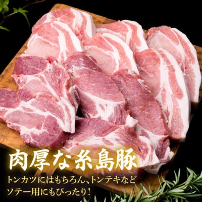 【合計11枚】とんかつ用糸島豚ロース肉約100g×6枚/肩ロース約120g×5枚[ACA228]