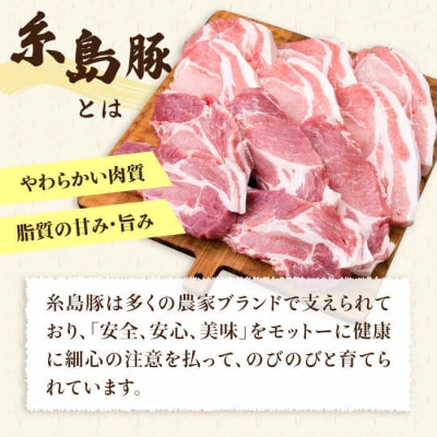 【合計11枚】とんかつ用糸島豚ロース肉約100g×6枚/肩ロース約120g×5枚[ACA228]