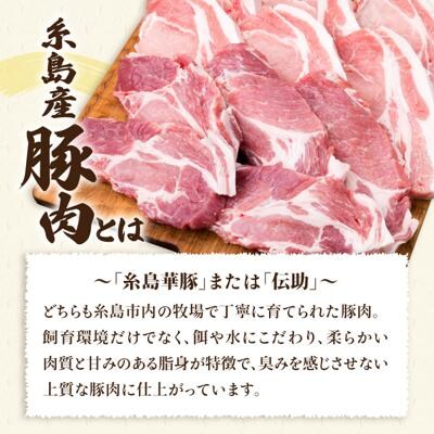 【合計11枚】とんかつ用糸島産豚肉ロース肉約100g×6枚/肩ロース約120g×5枚[ACA228]