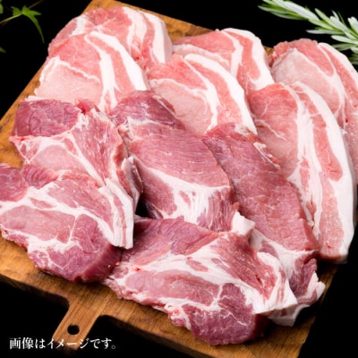 【合計11枚】とんかつ用糸島豚ロース肉約100g×6枚/肩ロース約120g×5枚[ACA228]