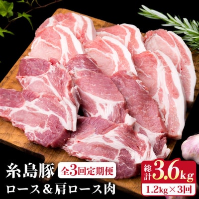 【全3回定期便】糸島豚ロース肉6枚 肩ロースカツ5枚 合計11枚セット《糸島》[ACA229]